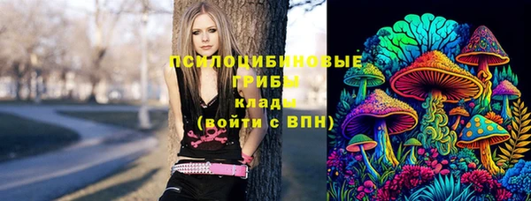 бошки Алексеевка