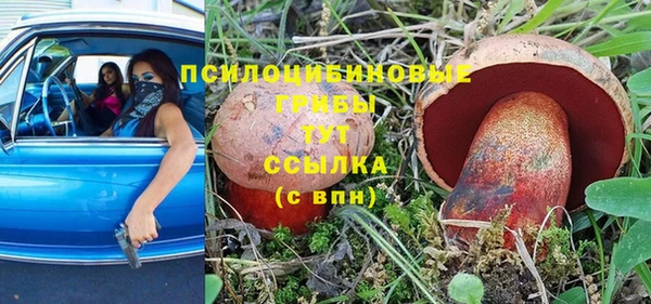 прущие крисы Сосновка