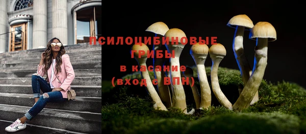 бошки Алексеевка
